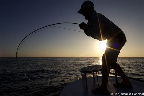 Tight Lines: Enjoy Your Fishing