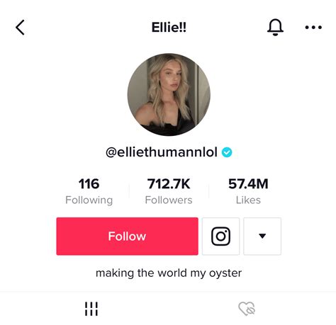Tiktok Bio Template