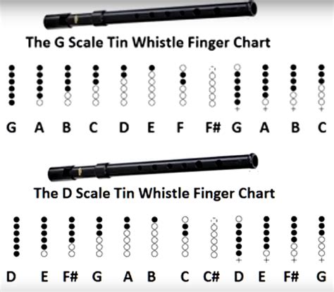 Tin Whistle D Finger Chart