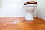 Toilet Bowl Problems