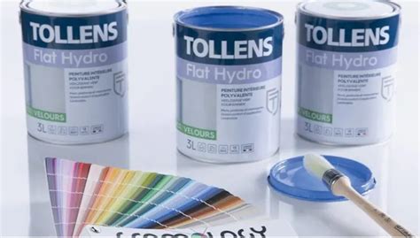 Tollens à Saint-Jean-de-la-Ruelle