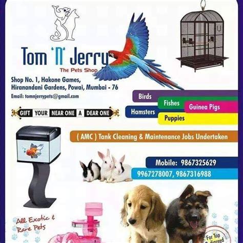 Tom And Jerry Pet Shop