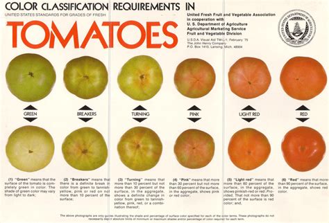 Tomato Colour Chart