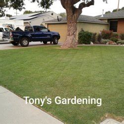 Tony Rand Gardening Services