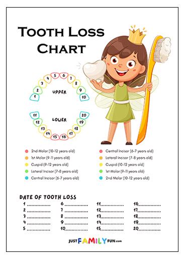 Tooth Chart For Losing Teeth