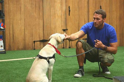 Top Dog Training Instructor