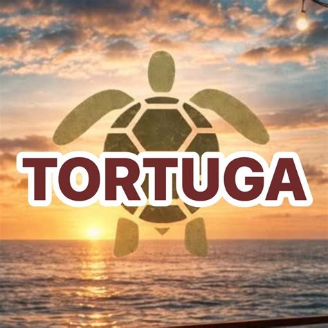 Tortuga Messina