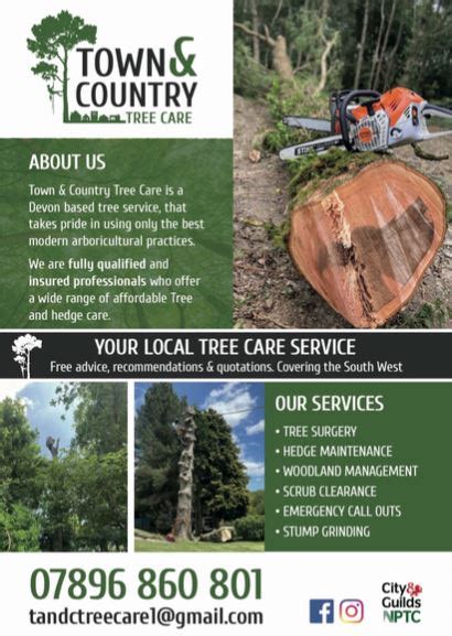 Town and Country Tree Care