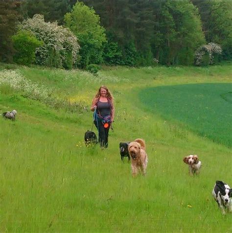Tracy Haygarth Dog Walking and sitting services