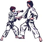 Traditional Japanese Shotokan Karate Academy.