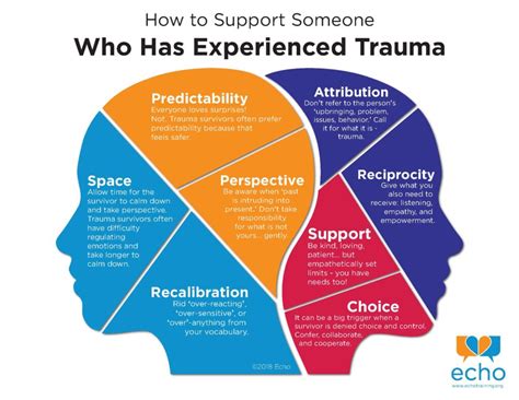 Trauma-informed training