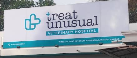 Treat Unusual Veterinary Hospital