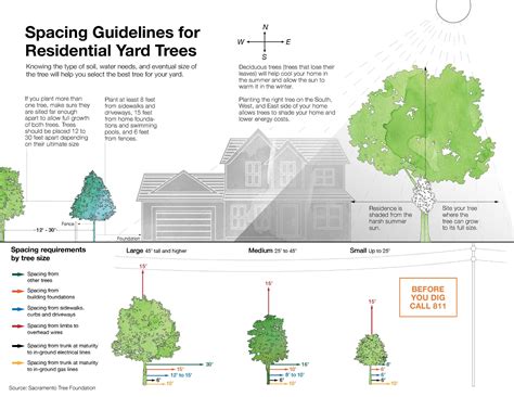 Tree Spacing Chart