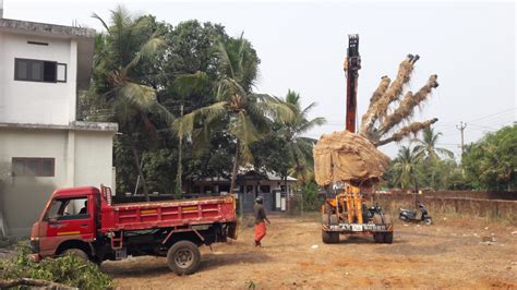 Tree transplantation in Kerala