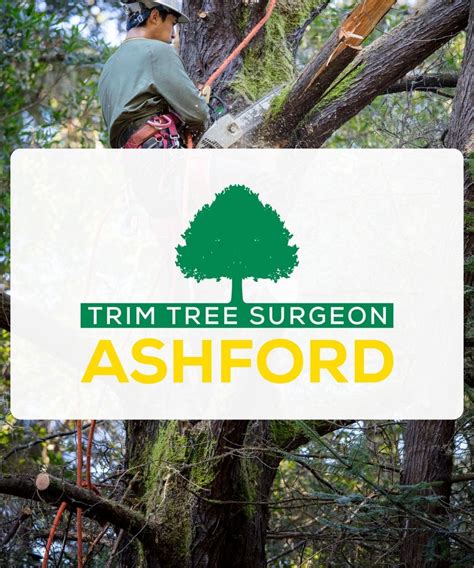 Trim Tree Surgeon Ashford