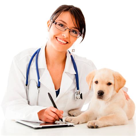 Trimurti Medico(A complete vet&pet Shop)