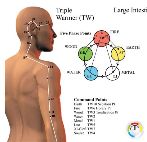 Triple Warmer Meridian Chart