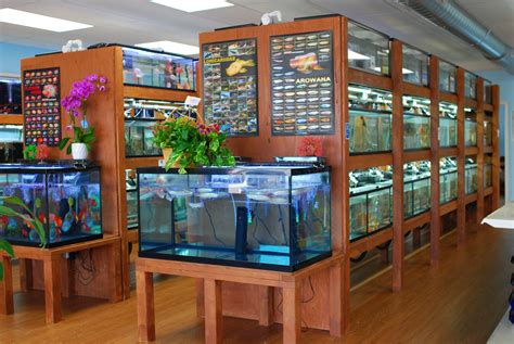 Tropical Fish Shop