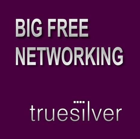 Truesilver Web Design & Marketing