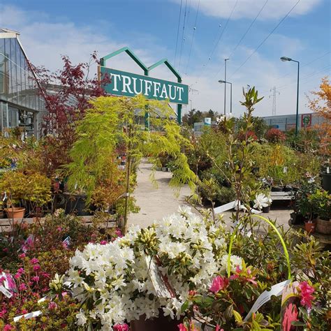 Truffaut à Les Ulis