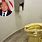 Trump Toilet Bowl
