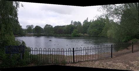 Tudor Grange Park Lake