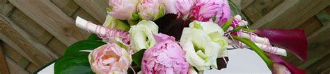 Tulipe à Duisans