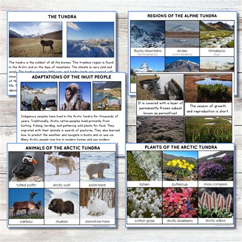 Tundra Printables