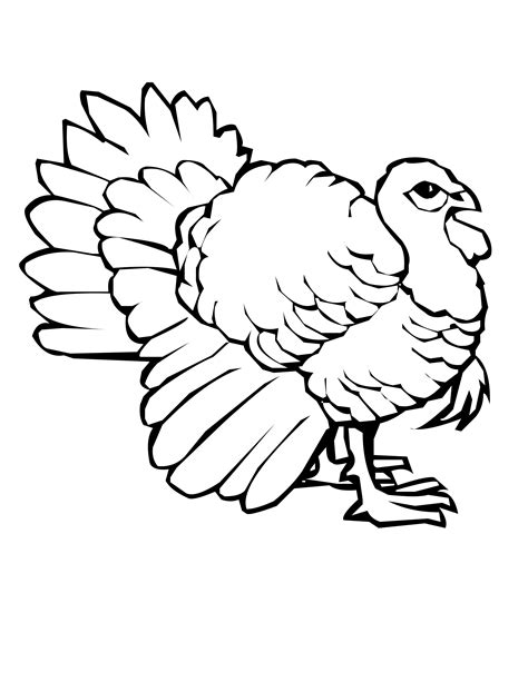Turkey Coloring Pages Free Printable