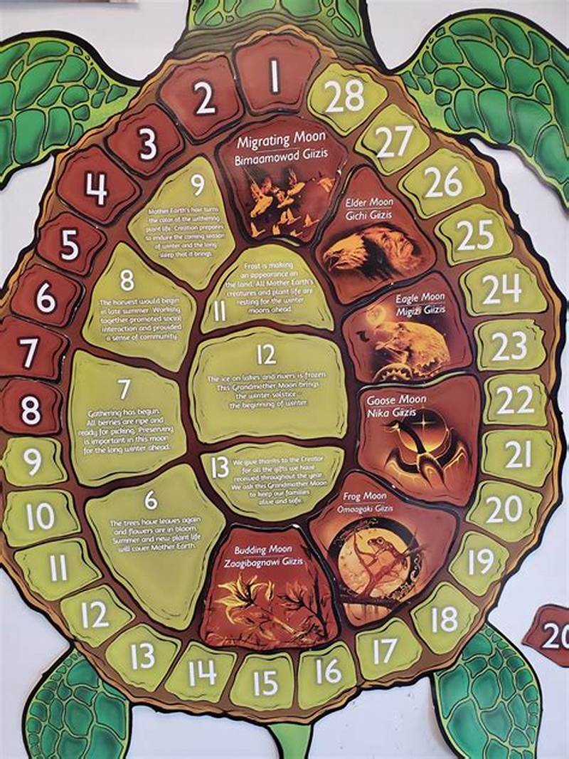 Turtle Shell Calendar