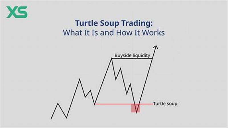 Turtle Soup Pattern Success Rate Backtest