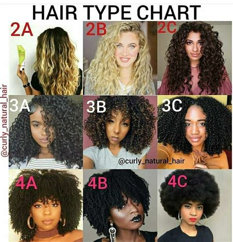 Type Of Curly Hair Chart