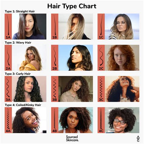 Type Of Hair Chart