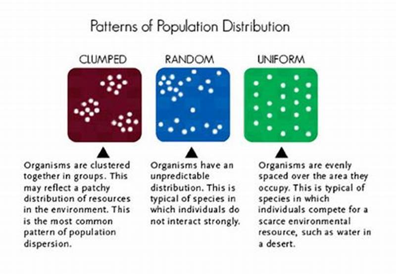 Type Of Population Density Pattern In Science