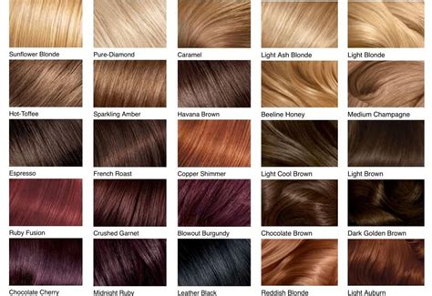 Types Of Hair Color Chart
