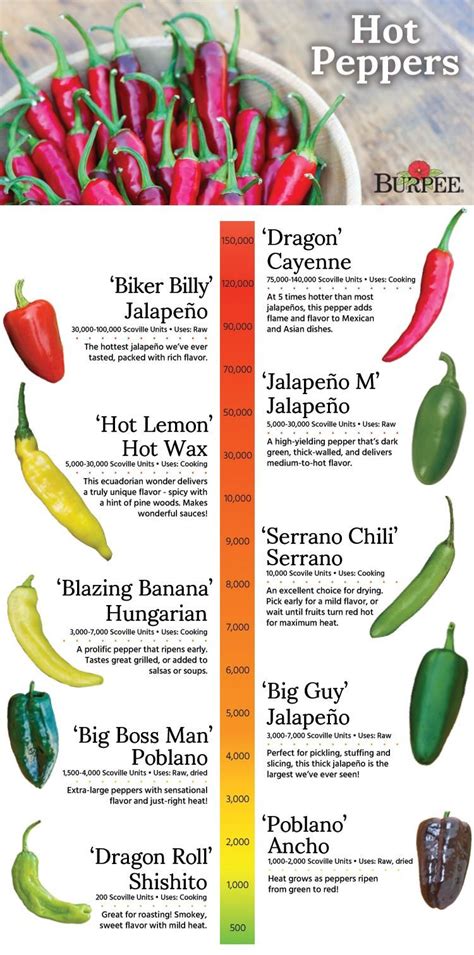 Types Of Hot Peppers Chart