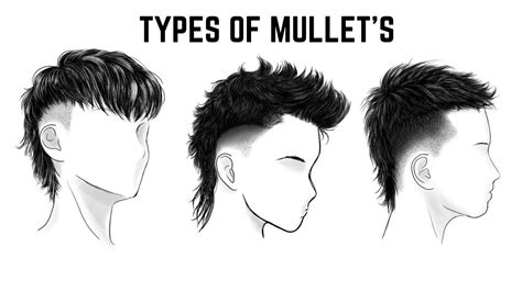 Types Of Mullets Chart