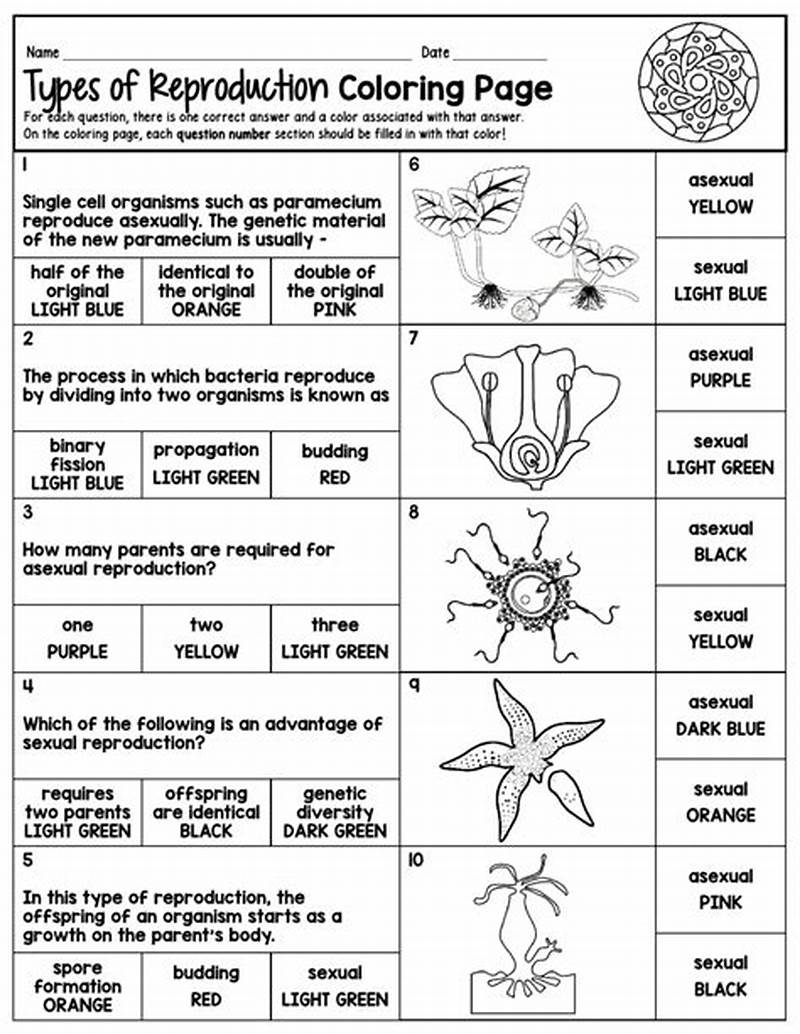 Types Of Reproduction Coloring Page Answer Key