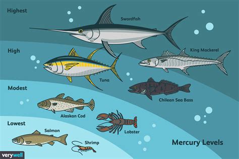 Types of Fish in the Sea