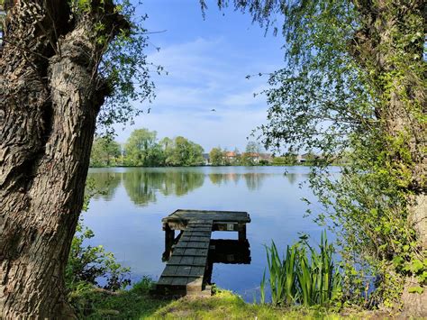 Typret Kalogerakis Chryssoula à Flines-lez-Raches