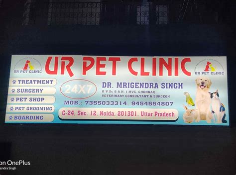 UR PET CLINIC- Best Pet Clinic In Noida 24/7