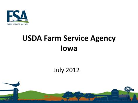 US Consolidated Farm Services Agency