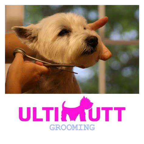 Ultimutt Grooming