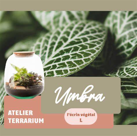 Umbra atelier & gallery Munga 8, 51007 Tartu
