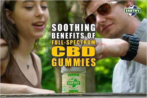 Understanding the Benefits of Full Spectrum CBD Gummies for Daily Wellness