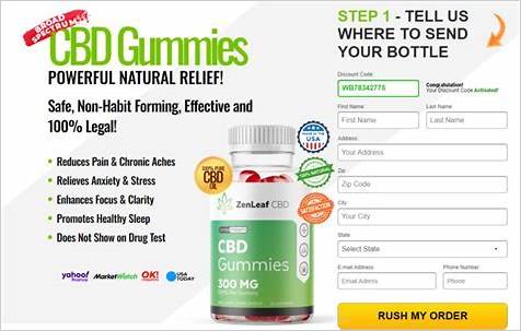 Understanding the Value of CBD Gummies: A Comprehensive Guide