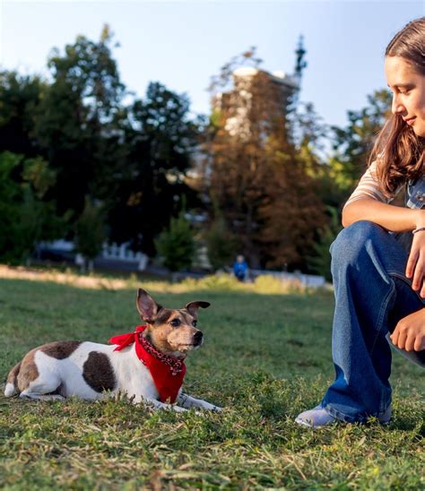 Unidog - Complexe canin innovant à Pallegney