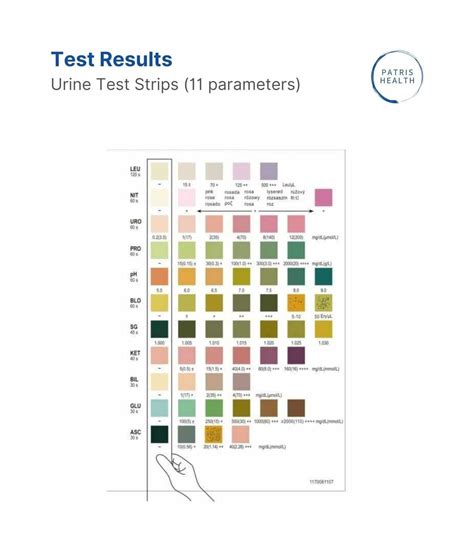Urine Test Strip Colour Chart