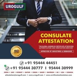 Urogulf Global Services Pvt. Ltd