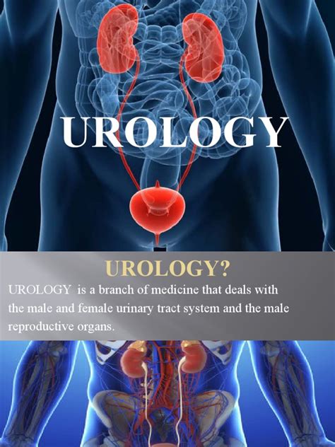 Urology E Learning